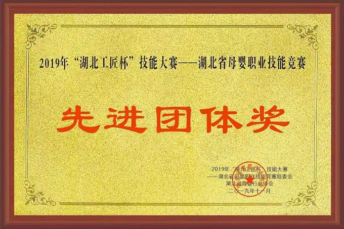 湖北工匠杯先进团体奖